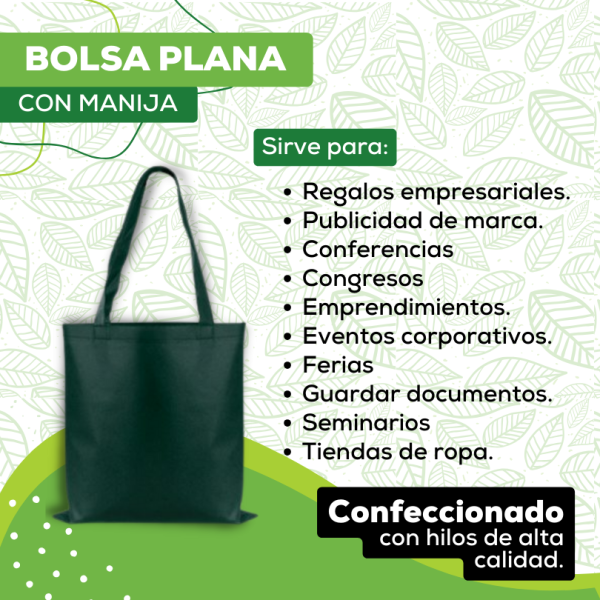2 Bolsa Plana - 800x800